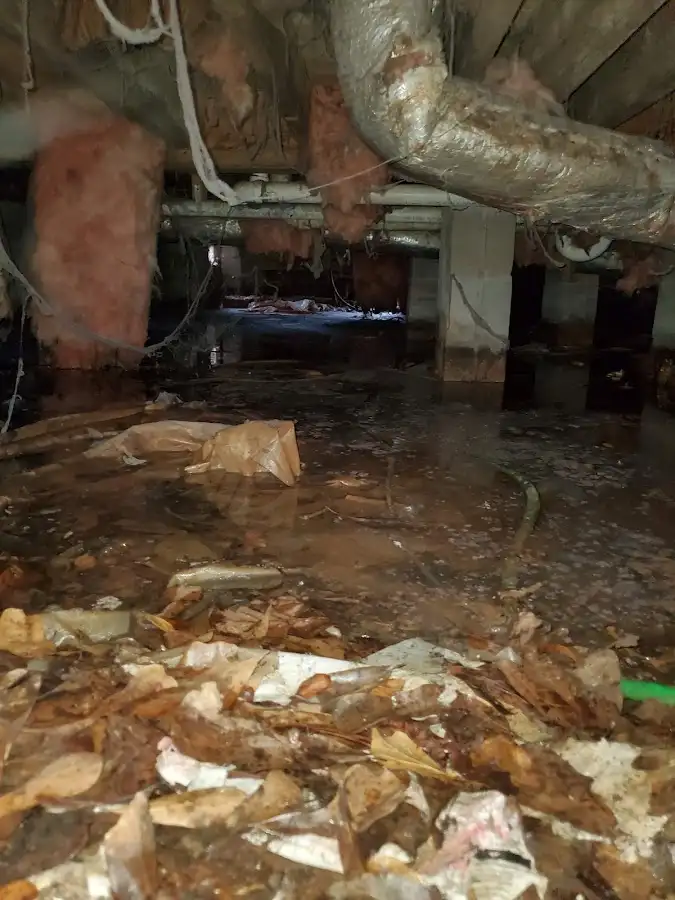 Crawl space flood assessment for Leak Detection & Repair in North Lauderdale